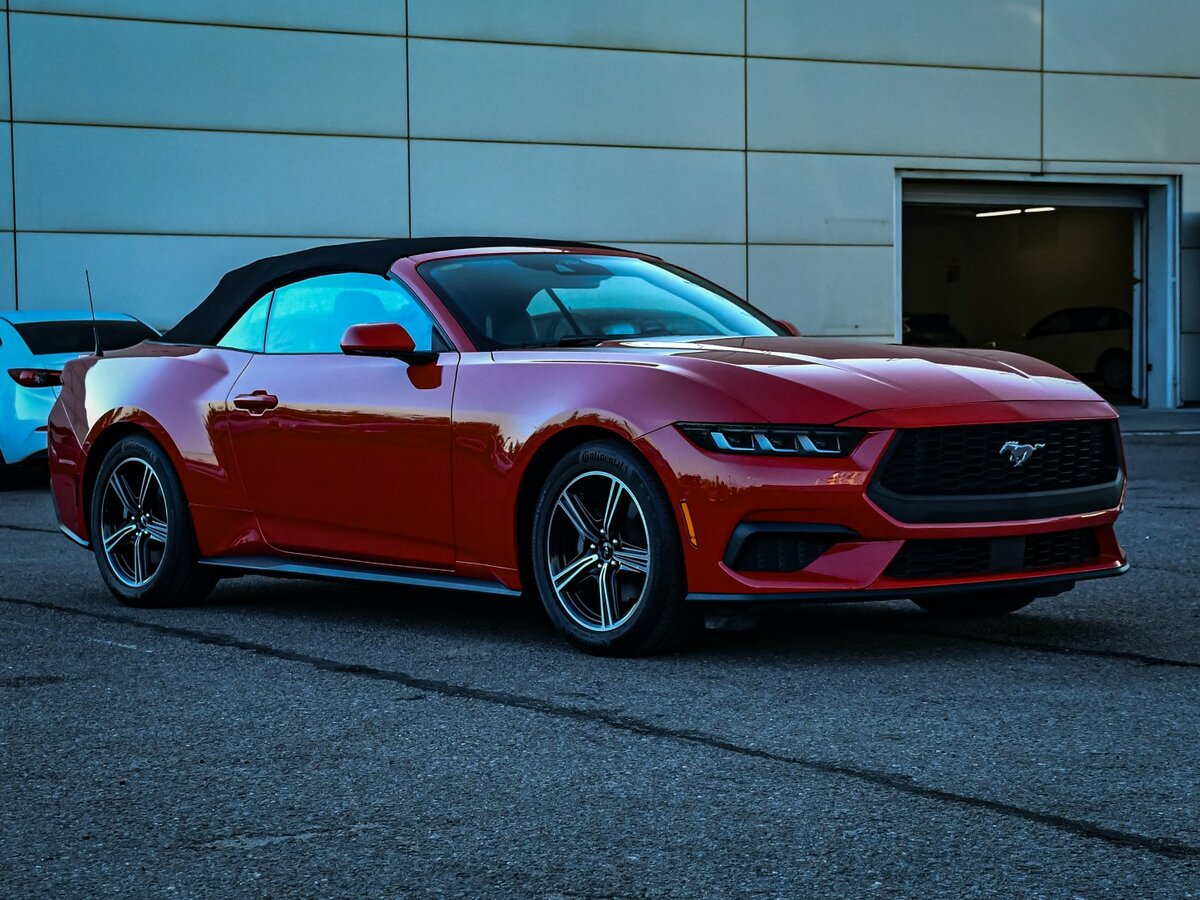 Купить Ford Mustang с пробегом. Фото: #1