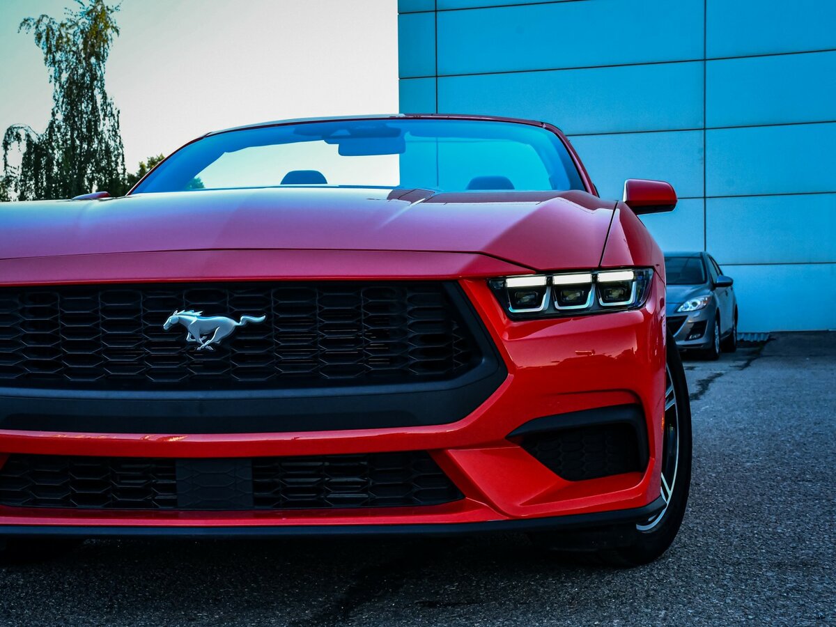 Купить Ford Mustang с пробегом. Фото: #22